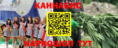 гидра Заволжье