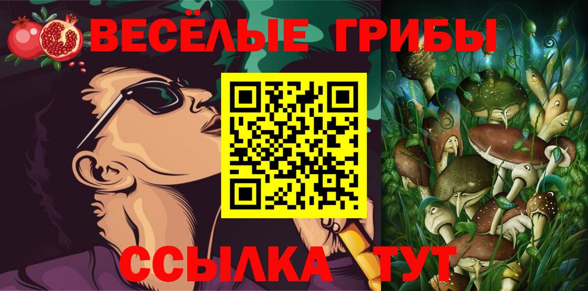 Псилоцибиновые грибы MAGIC MUSHROOMS  Галлюциногенные грибы прущие грибы  Вход с VPN  Лесозаводск 